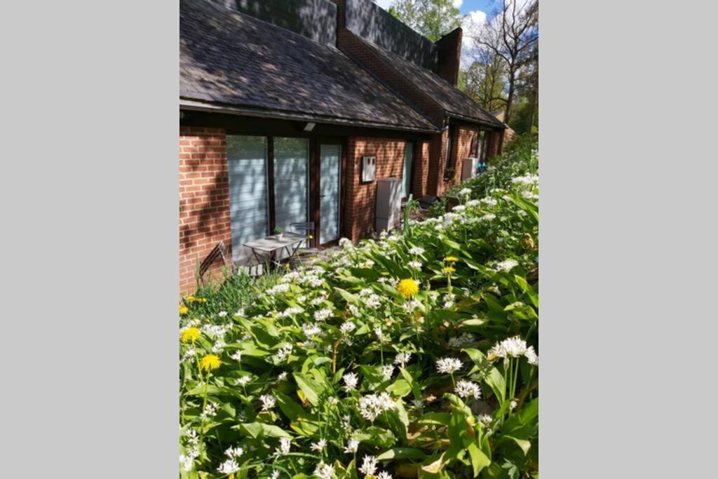D-Peace Villa Hastiere-par-dela Exteriör bild